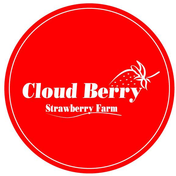 Cloud Berry Farm